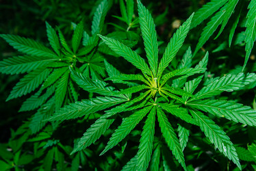 Similar image 20174623