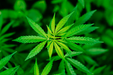 Similar image 20174625