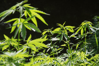 Similar image 20156779