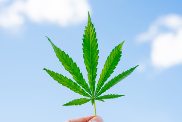 Similar image 20175252