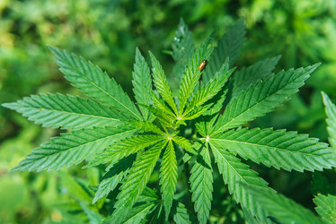 Similar image 20156780