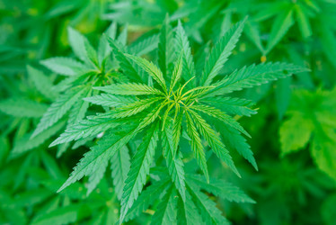 Similar image 20175222