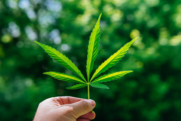 Similar image 20156781