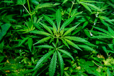 Similar image 20175241