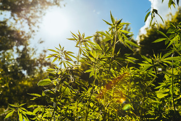 Similar image 20156783