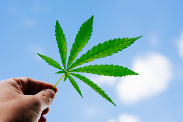 Similar image 20156784