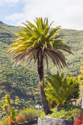 Similar image 20134735