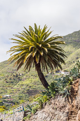 Similar image 20134738