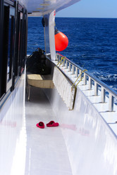 Similar image 20117159