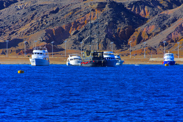 Similar image 20113619