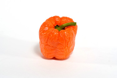 Similar image 19964525