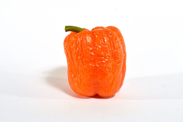 Similar image 19964529