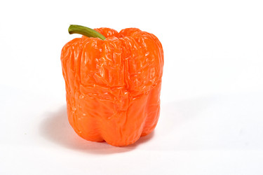 Similar image 19964543