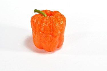 Similar image 19964547