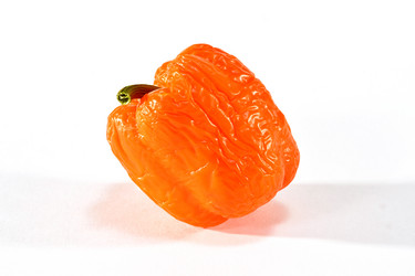 Similar image 19964549