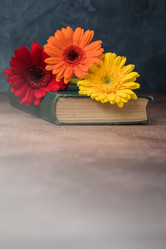 Similar image 19944652