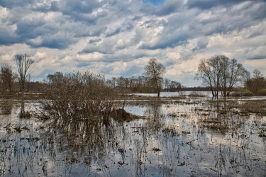 Similar image 20058049