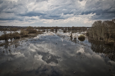 Similar image 20058050