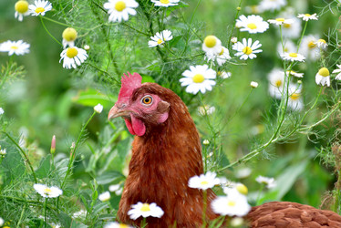 Similar image 20112919