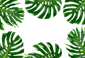 Similar image 20069915