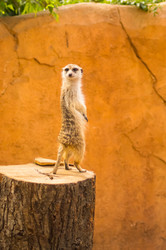 Similar image 20121821