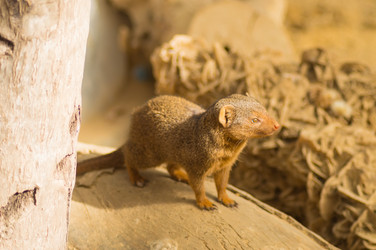 Similar image 20121838