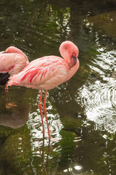 Similar image 20121849