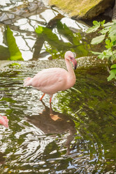 Similar image 20121877