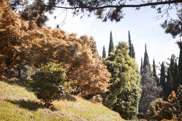 Similar image 20166338