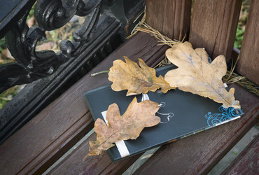 Similar image 20166469