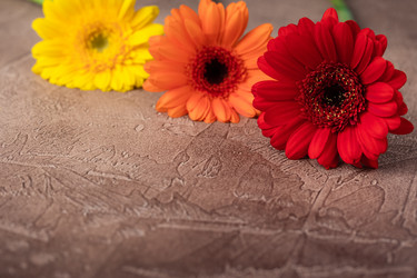 Similar image 19944961