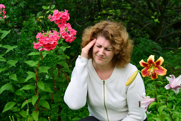 Similar image 20112814