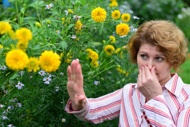 Similar image 20112826