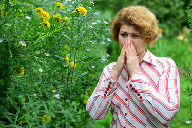 Similar image 20112830