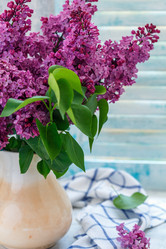 Similar image 19939920