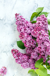 Similar image 19939923