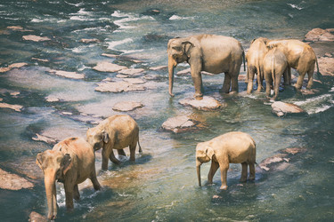 Similar image 20110182