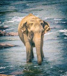 Similar image 20110185