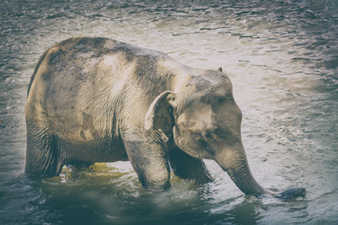 Similar image 20110145