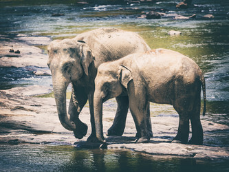 Similar image 20110146