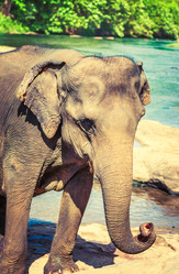 Similar image 20110153