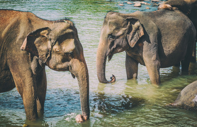 Similar image 20110156