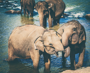 Similar image 20110160