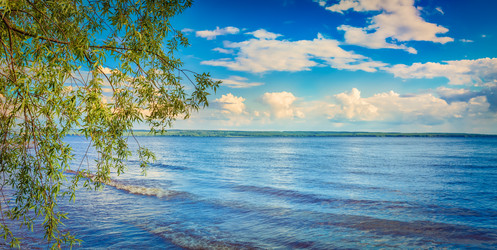 Similar image 20110169