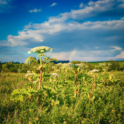 Similar image 20110183