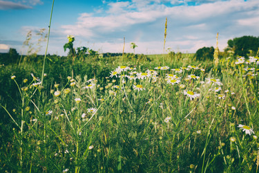 Similar image 20110189