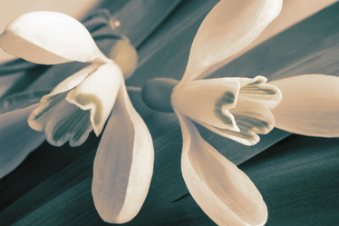 Similar image 20163176