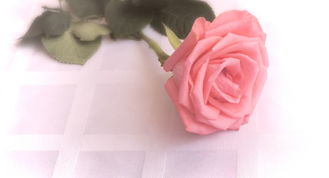 Similar image 20163187