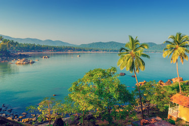 Similar image 20071699