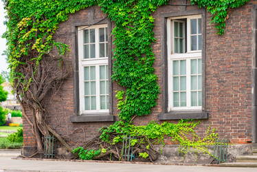 Similar image 20071703